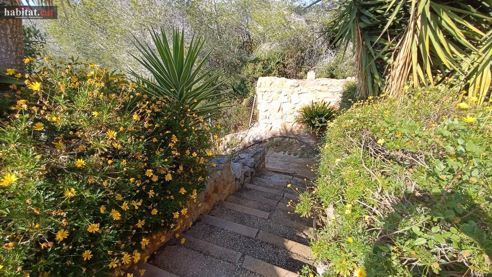 Garden of Houses for sale in Olivella