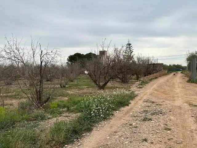 Terrenys i solars en venda a PDA PLANES DEL ROQUÍS POL 3 PARC. 47, imagen 8
