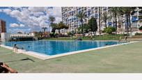 Swimming pool of Planta baja for sale in Benidorm