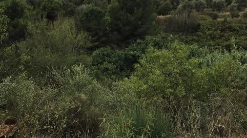 Photo 5 of Residential for sale in Pla de Bon Aire, Barcelona