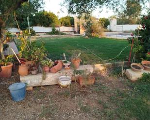 Garden of House or chalet for sale in Villanueva del Ariscal  with Terrace and Swimming Pool