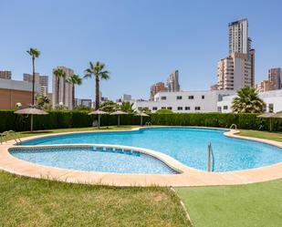 Piscina de Apartament en venda en Benidorm amb Terrassa i Piscina comunitària