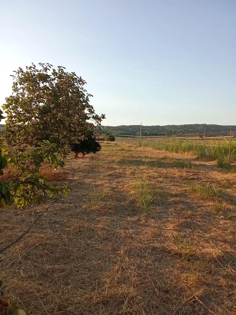 Land for sale in Almodóvar del Río