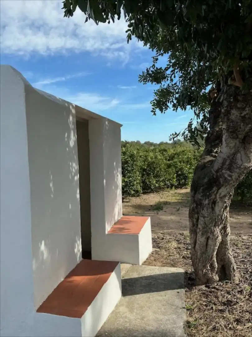 Jardín de Casa o chalet en venta en Manises con Terraza y Trastero