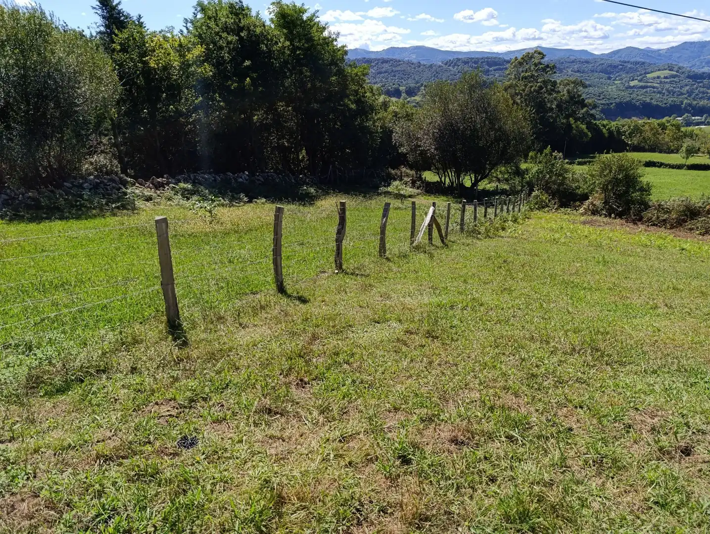 Terreno rústico en venta en Lezo, imagen 4