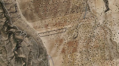 Solvia Inmobiliaria  Suelo Rústico Guadix, immagine 3