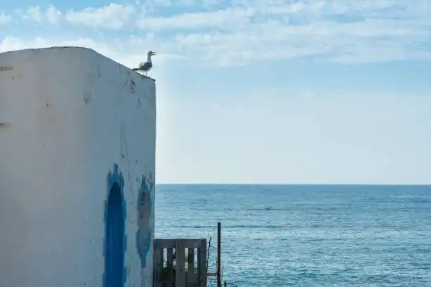 Vista exterior de Residencial en venta en Alicante / Alacant