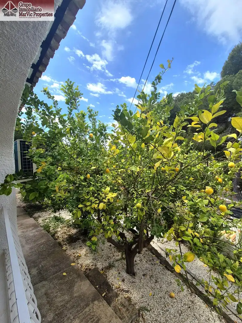 Casa o chalet de alquiler en Altea, Alicante