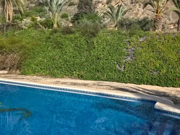 Casa rústica amb piscina en venda a Carrer Carretera R Bon 44, imagen 28