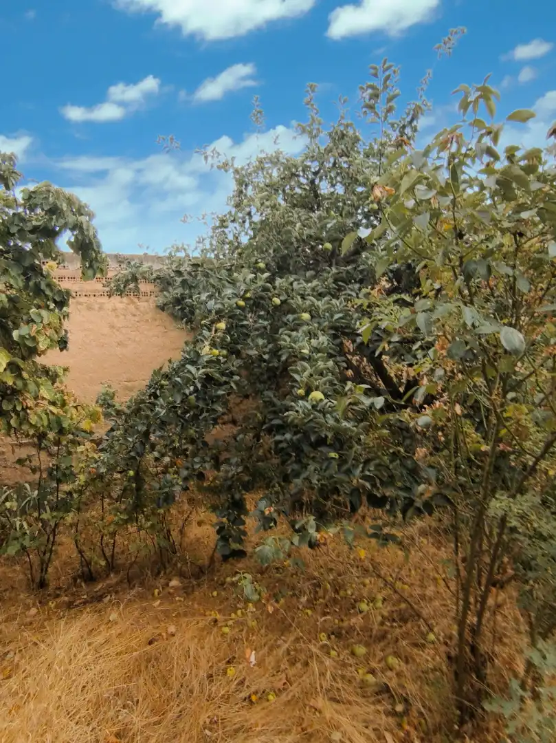 Casa o chalet en venta en Pedraza de Campos con Calefacción, Jardín privado y Terraza