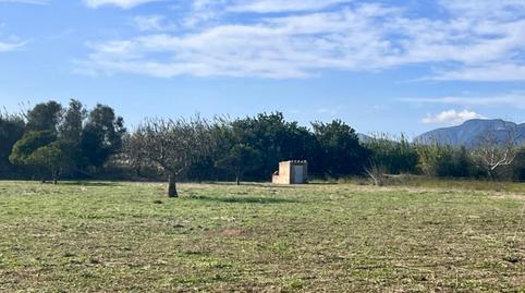 Foto 4 de Finca rústica en venda a Búger, Illes Balears