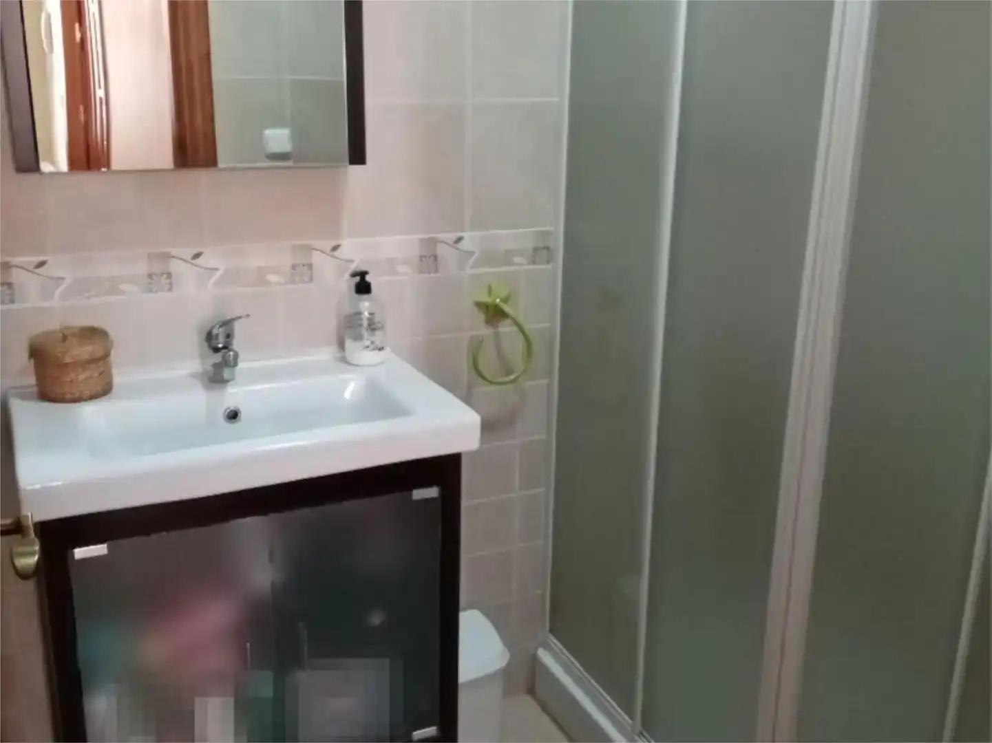 Baño de Casa o chalet en venta en Loja con Aire acondicionado, Jardín privado y Trastero