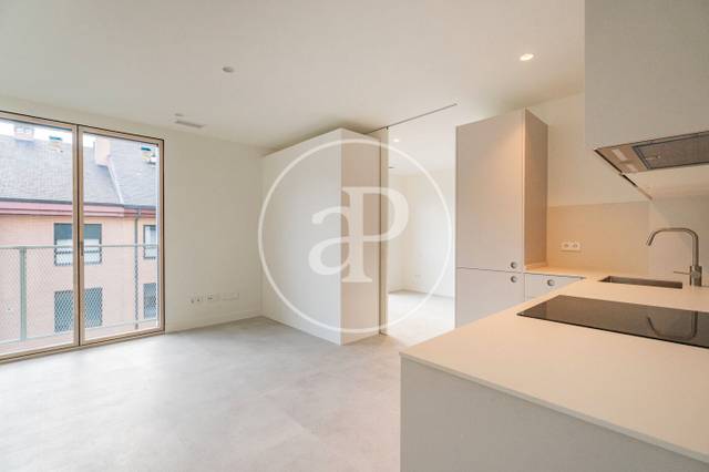 Piso en Alquiler en C. de Sánchez Pacheco, 95 en Ciudad Jardín