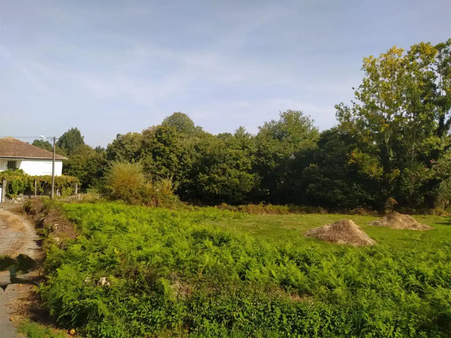 Land for sale in Sober