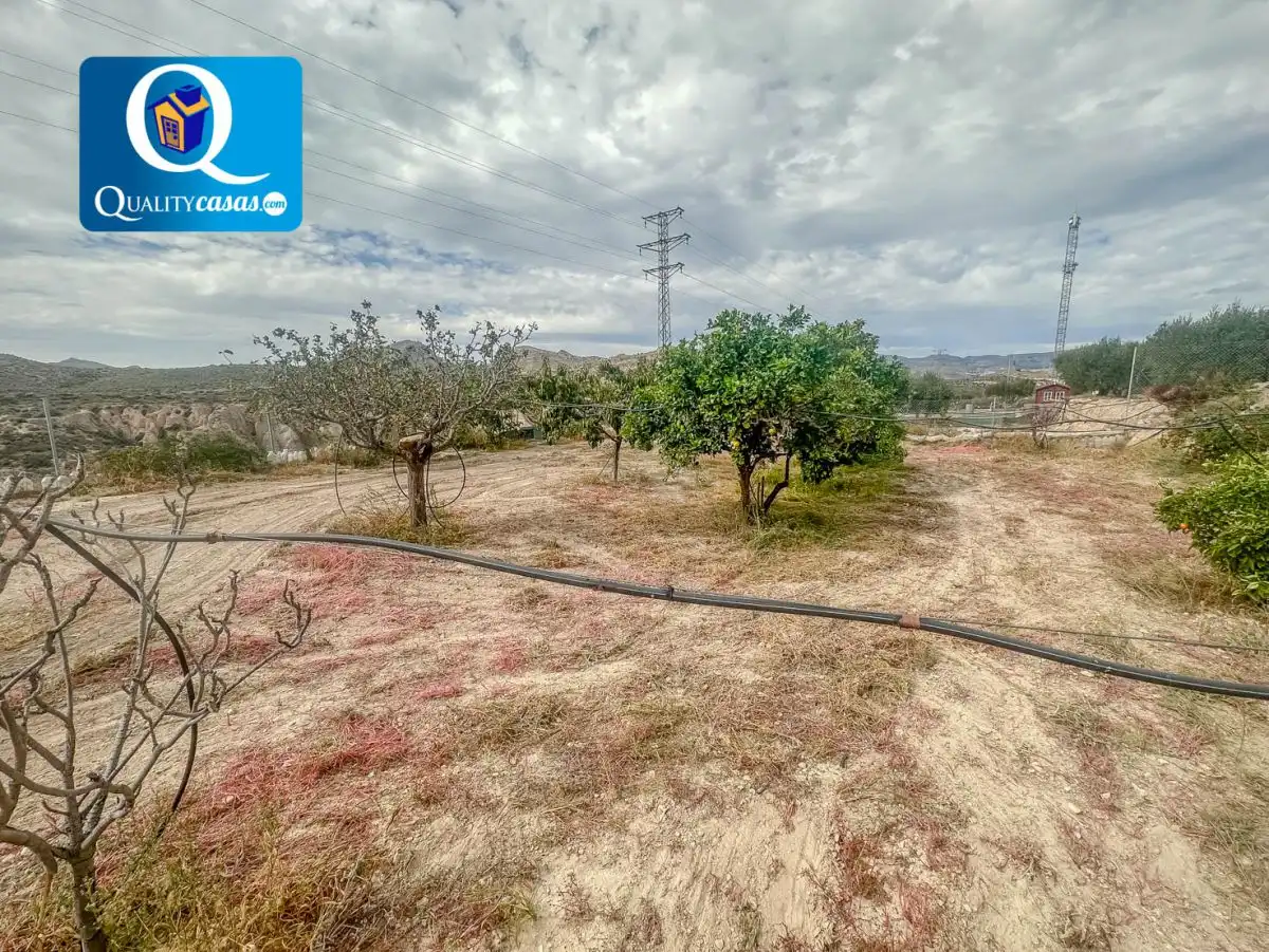 Lands and plots for sale in Partidas de Alicante, imagen 9