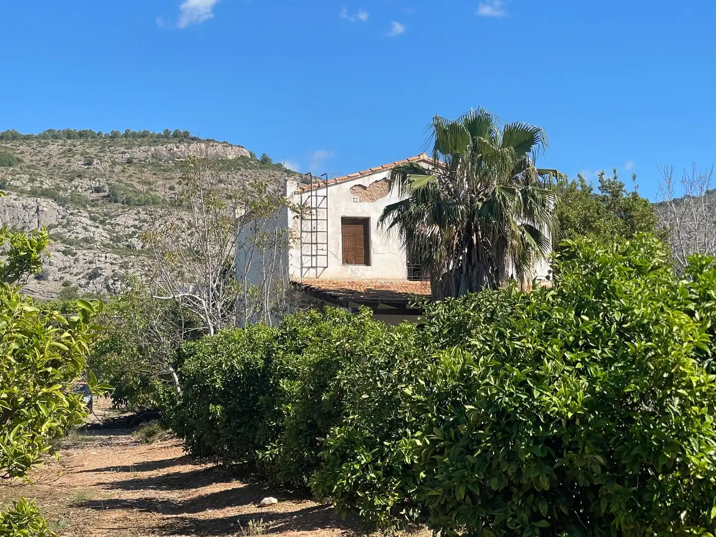 Außenansicht von Grundstücke zum Verkauf in Castellón de la Plana / Castelló de la Plana