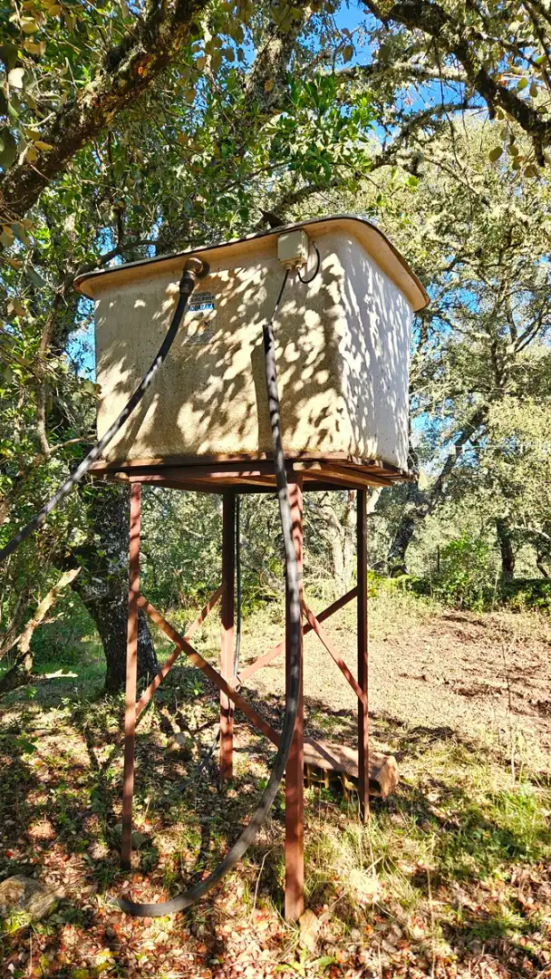 Jardí de Casa o xalet en venda en Los Marines amb Jardí privat, Terrassa i Traster