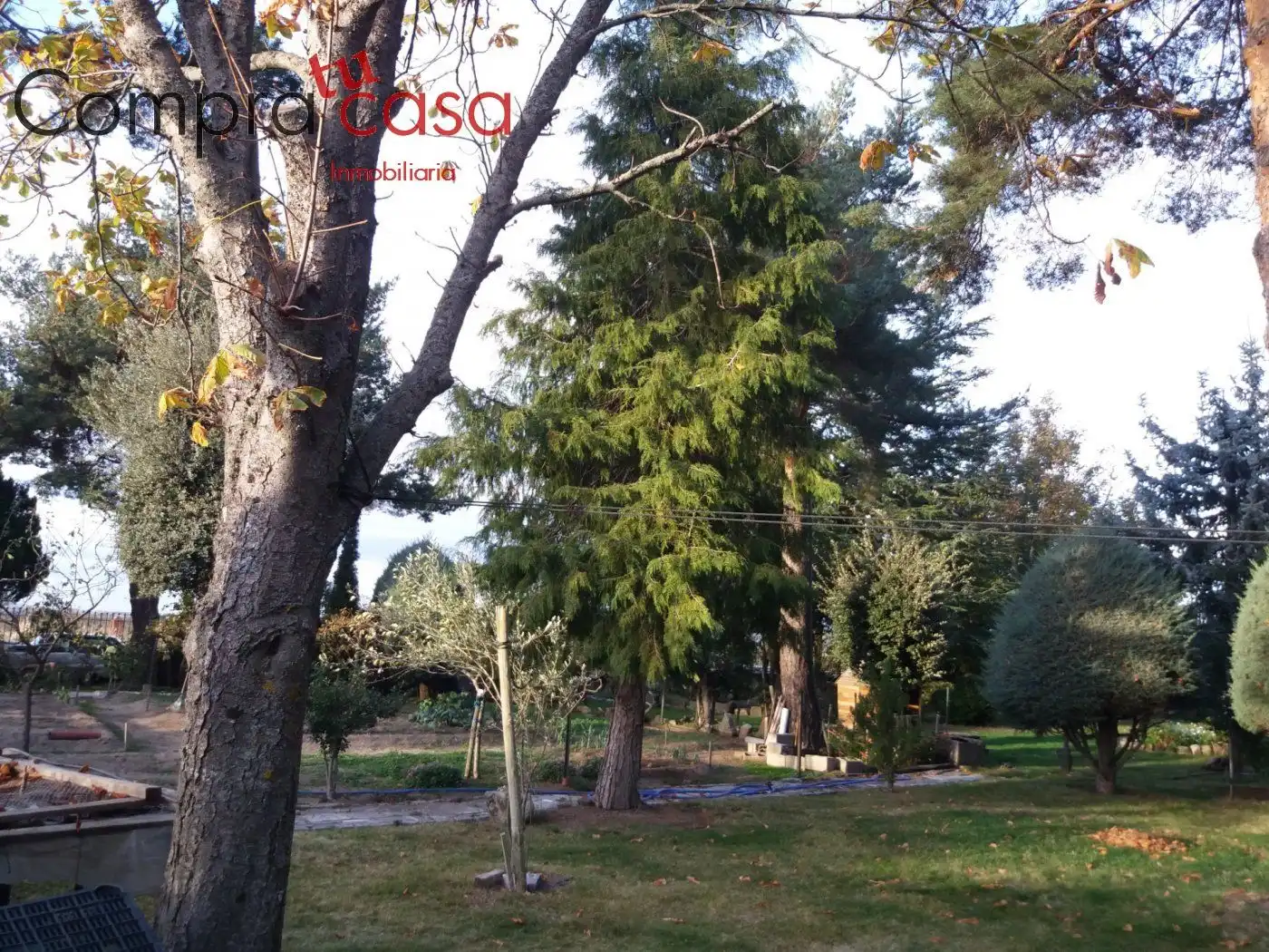 Haus mit Pool zum Verkauf in Basardilla, imagen 15