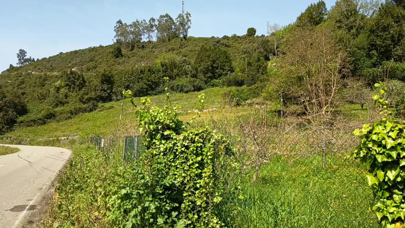Residential land for sale in CD-1, imagen 6