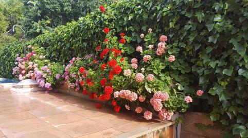 Photo 2 of Houses for rent in Alicante Golf, Alicante / Alacant