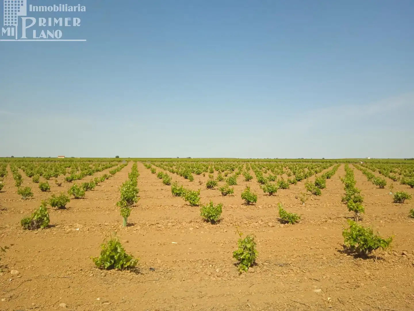Terrenos y solares en venta en Socuéllamos, imagen 5
