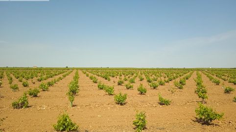 Photo 5 of Residential for sale in Socuéllamos, Ciudad Real