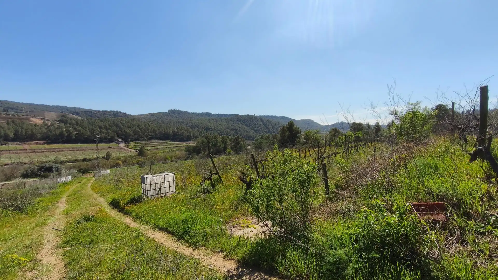 Grundstücke zum Verkauf in El Molar (Tarragona)