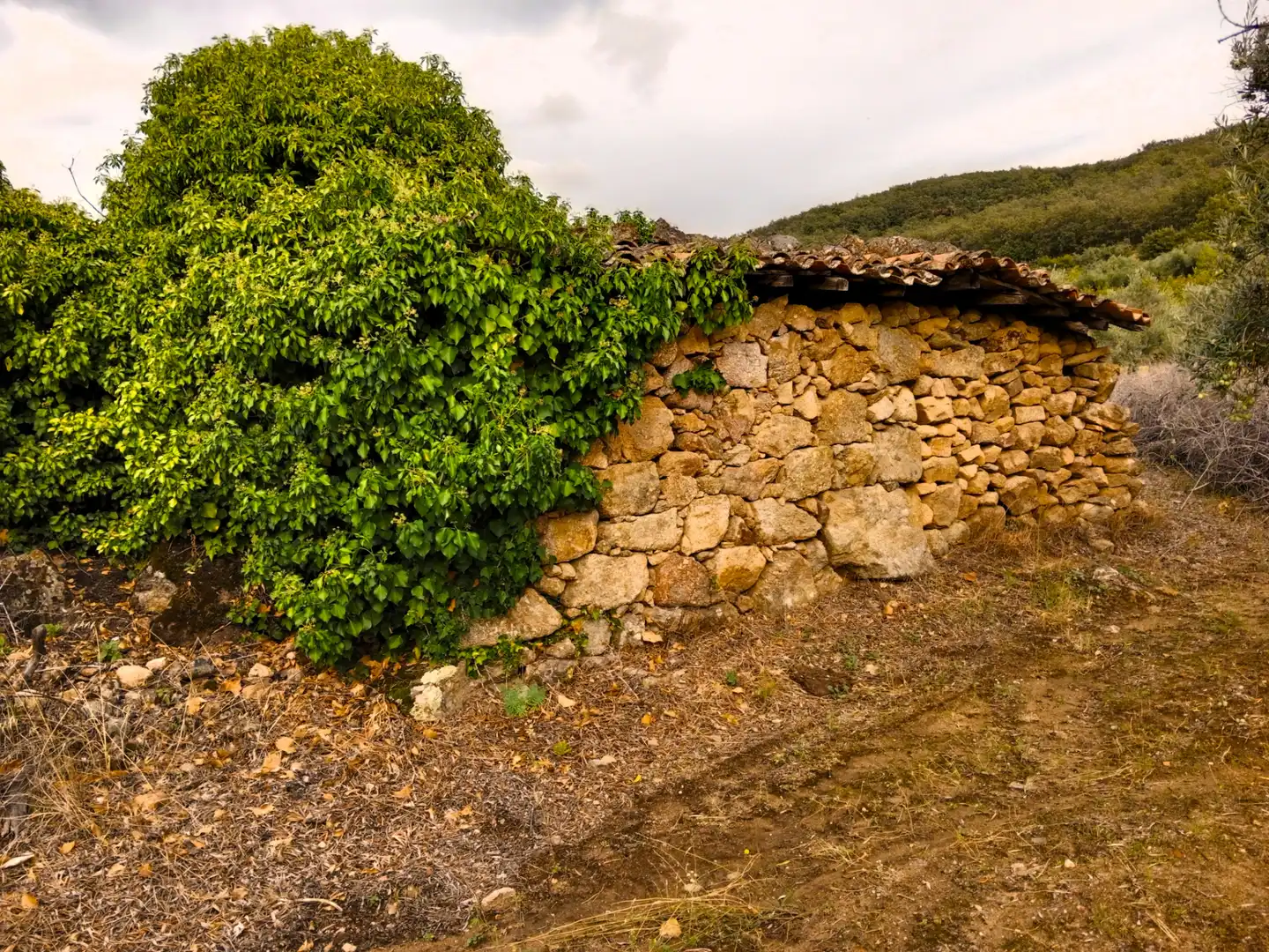 Terreni e lotti in vendita a Barrado, imagen 10