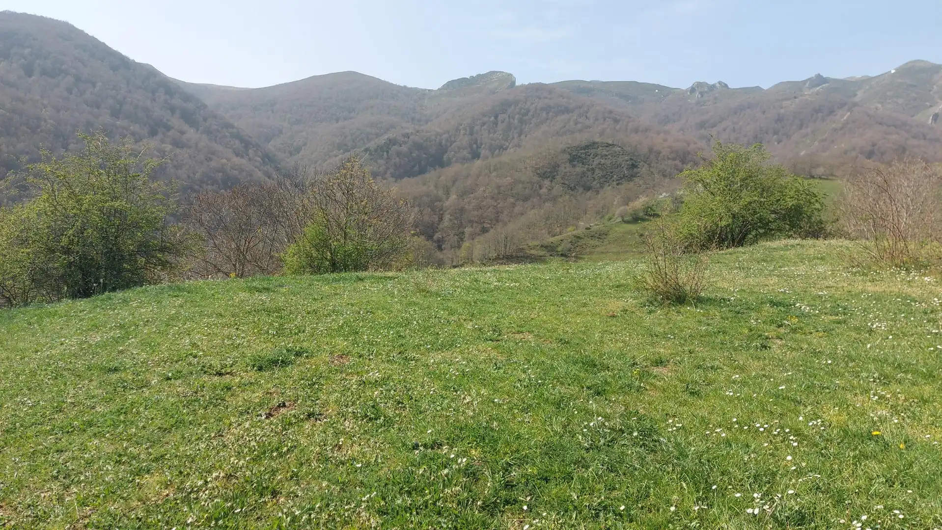 Terreno rustico in vendita a Pesaguero, imagen 5