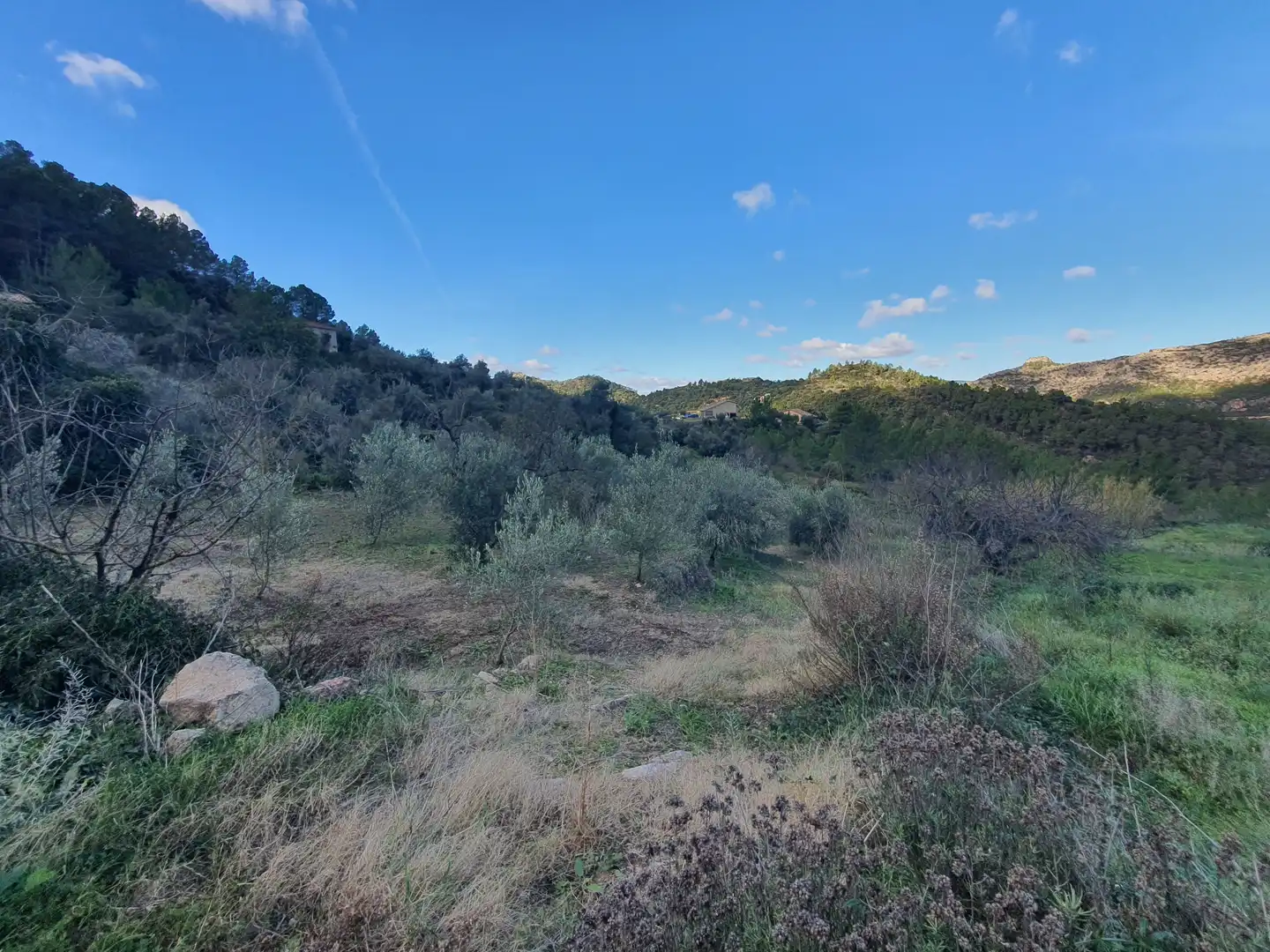 Casa en venta en Benifallet, imagen 45