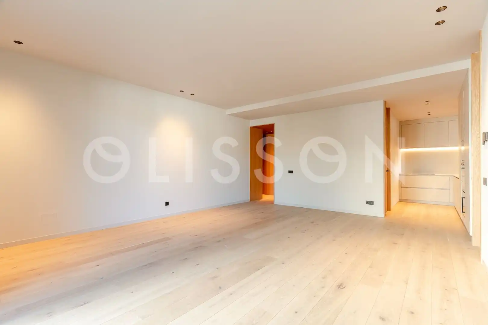 Sala d'estar de Pis de lloguer en Madrid amb Aire condicionat, Calefacció i Terrassa