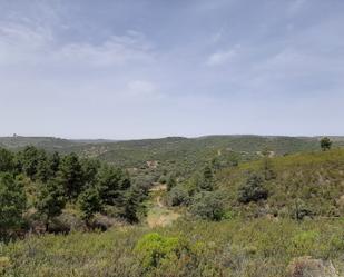 Grundstücke zum verkauf in Montoro