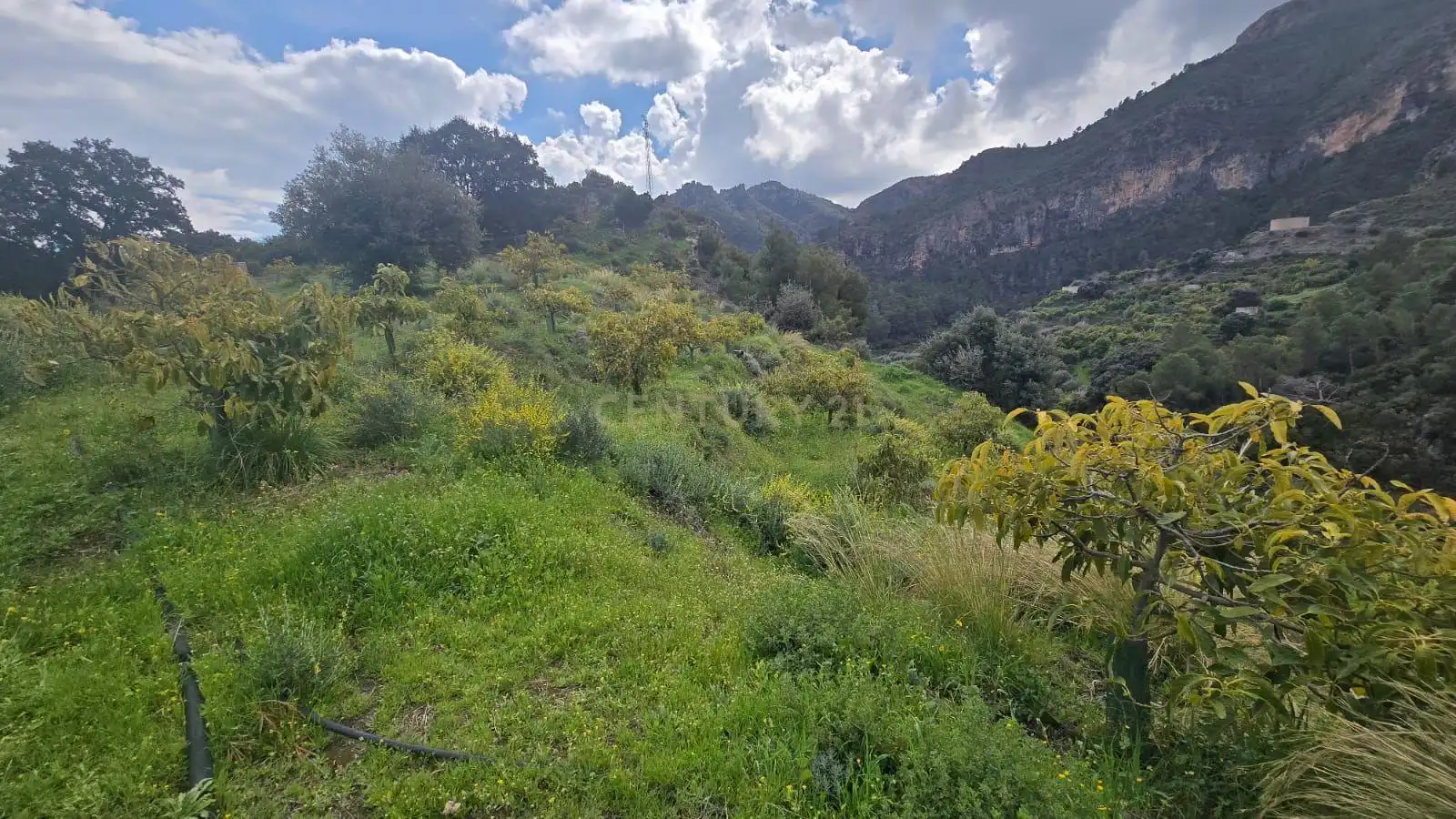 Terreno rustico in vendita a Polígono 11 Parcela 110 EL CERRILLAR. LOS GUAJARES (GRANADA), imagen 3