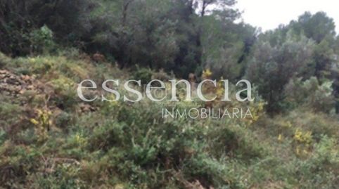 Foto 2 de Finca rústica en venta en Oliva Playa, Oliva