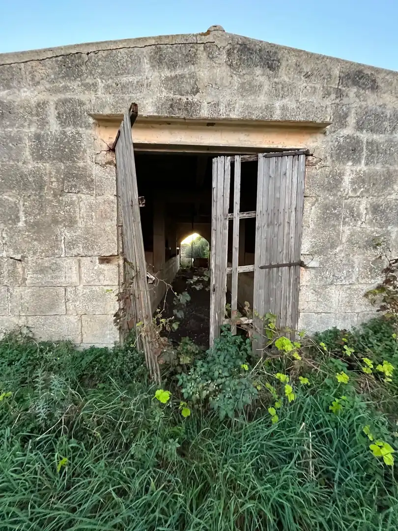 Rural land for sale in Ciutadella, imagen 8
