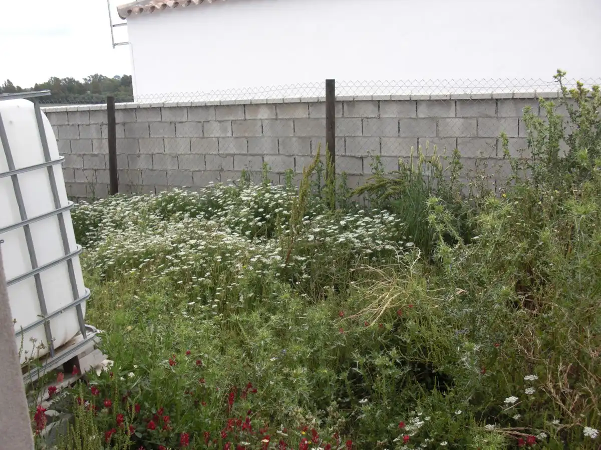 Casa rústica en venda a Vejer, imagen 15