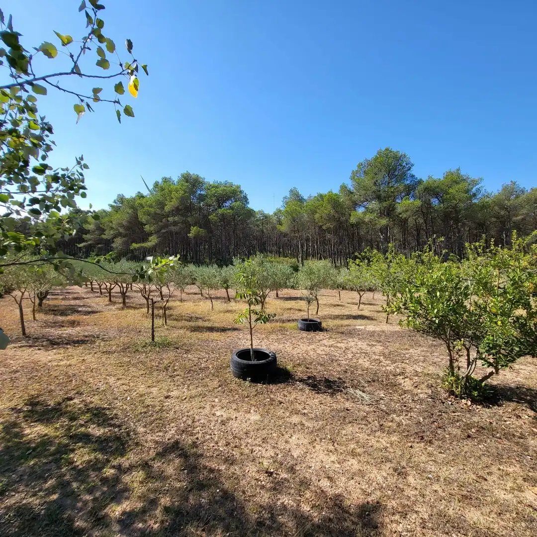 Casa rústica con piscina en venta en El Perelló, imagen 34