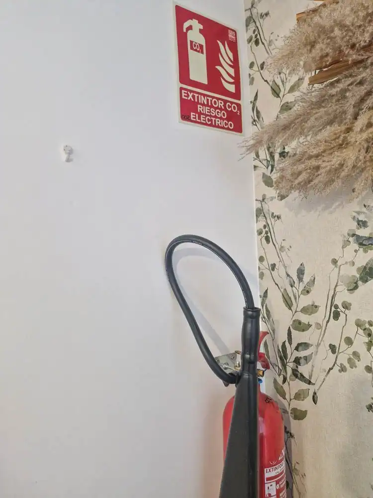 Gewerbefläche zur Miete in todo sobre mi madre, imagen 16