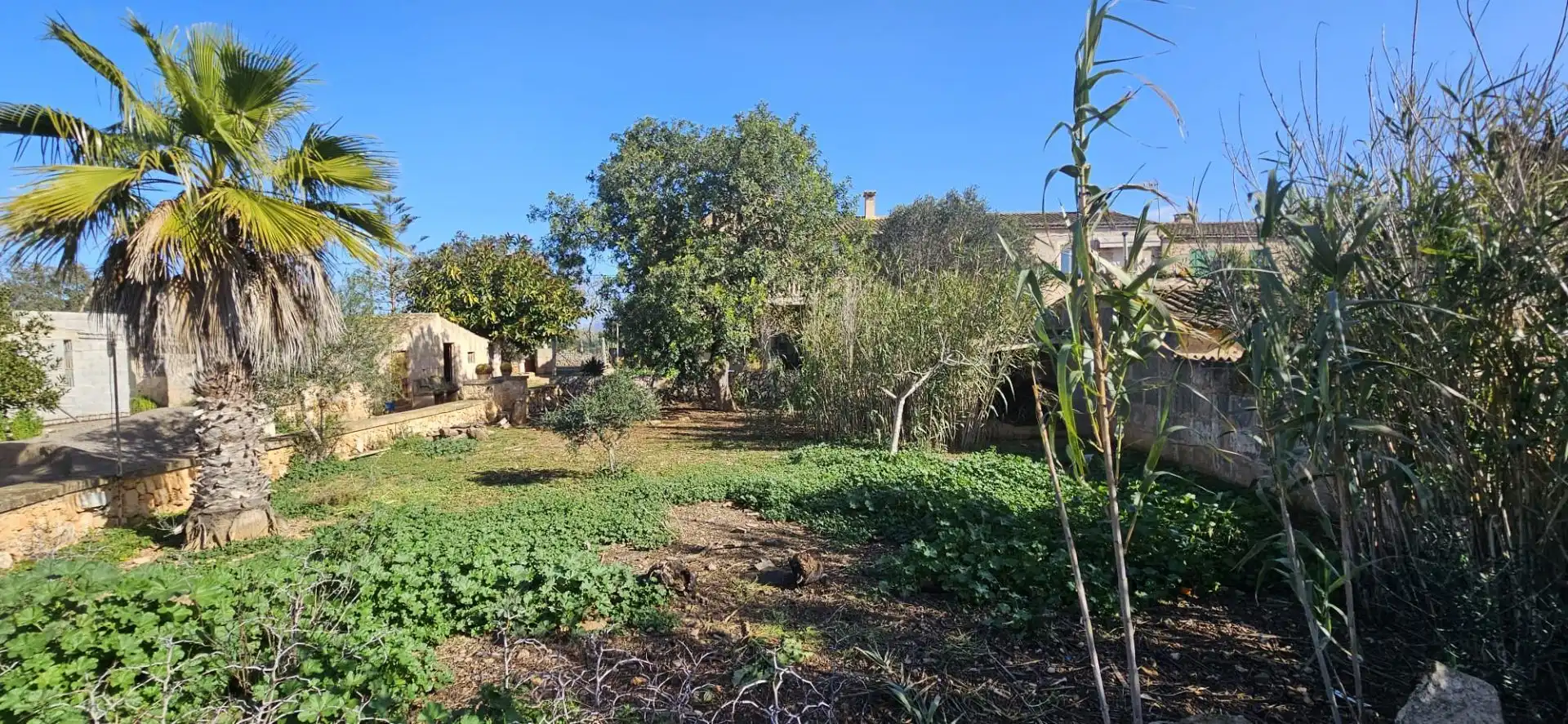 Terrenys i solars en venda a S'ESTACIO, imagen 3