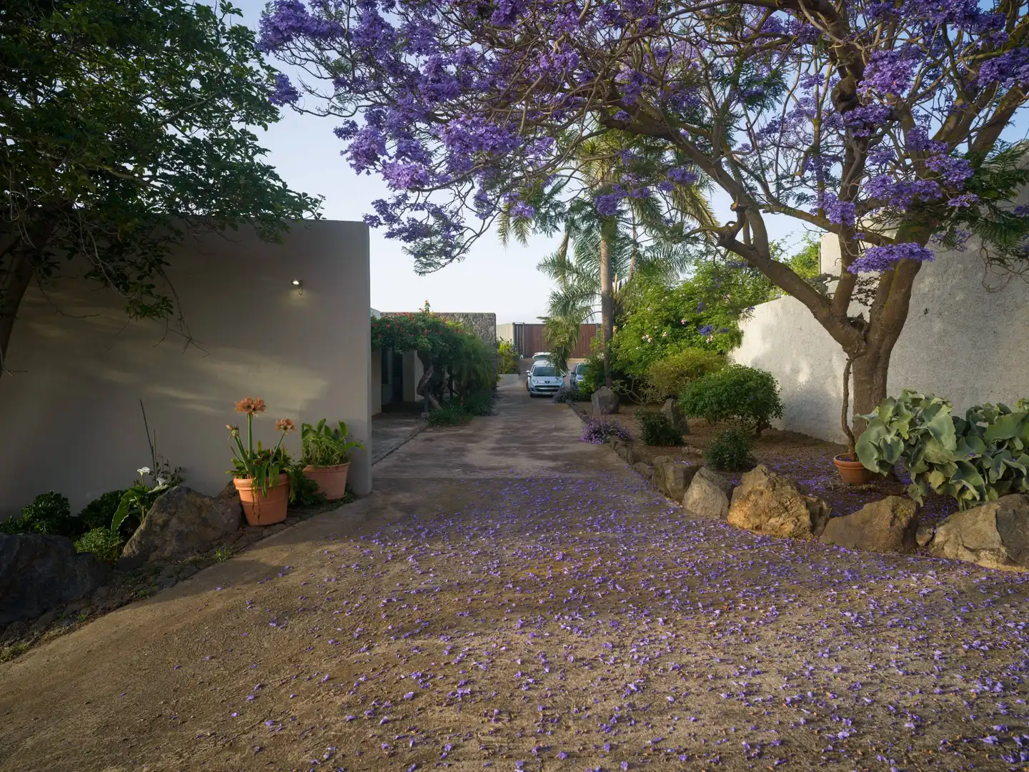 Vista exterior de Casa o chalet en venta en Tacoronte con Calefacción, Jardín privado y Terraza