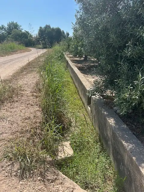 Rural land for sale in Carrer del Pou, imagen 11