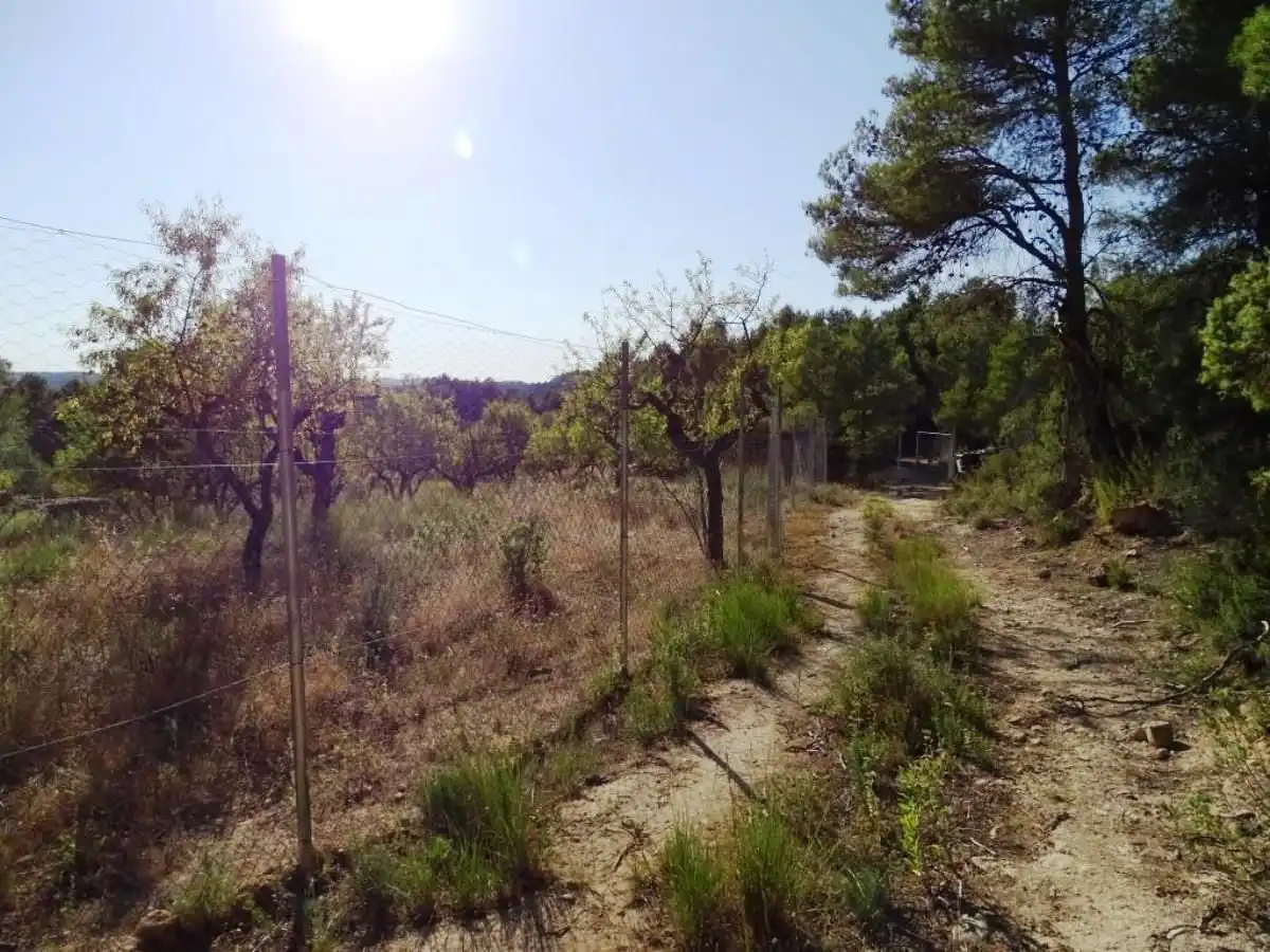 Landhaus zum Verkauf in Horta de Sant Joan, imagen 17