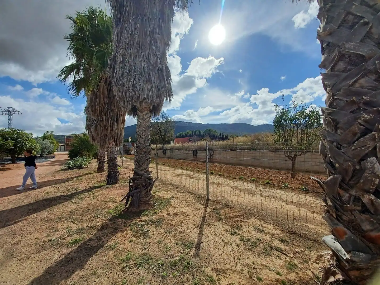 Casa rustica in vendita a Monóvar  / Monòver, imagen 16