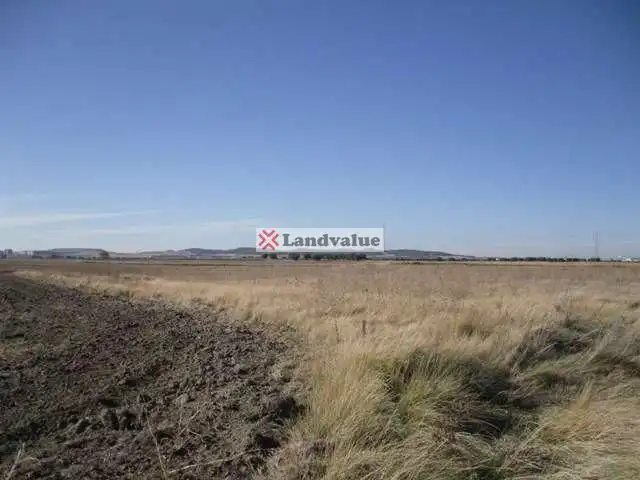 Terreno rustico in vendita a PARAJE SOTILLO DE PALOMERO. Parcelas 40 y 48 del Polígono 10