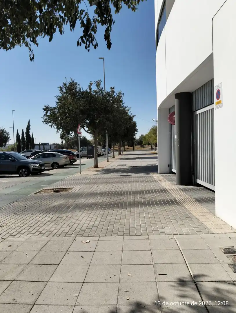Parkplatz von Geschaftsraum zum Verkauf in Este - Alcosa- Torreblanca