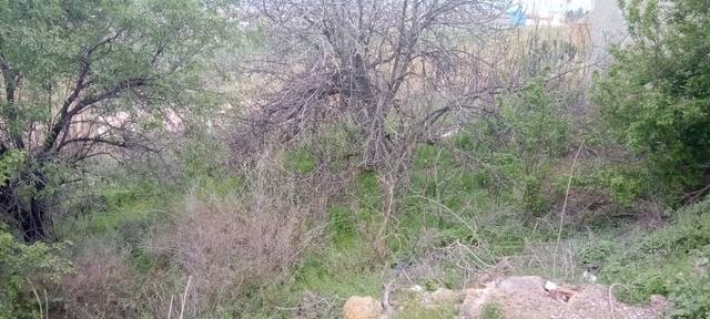 Terreno residencial en Venta en Marlofa Paraje Costera, 295 en La Joyosa