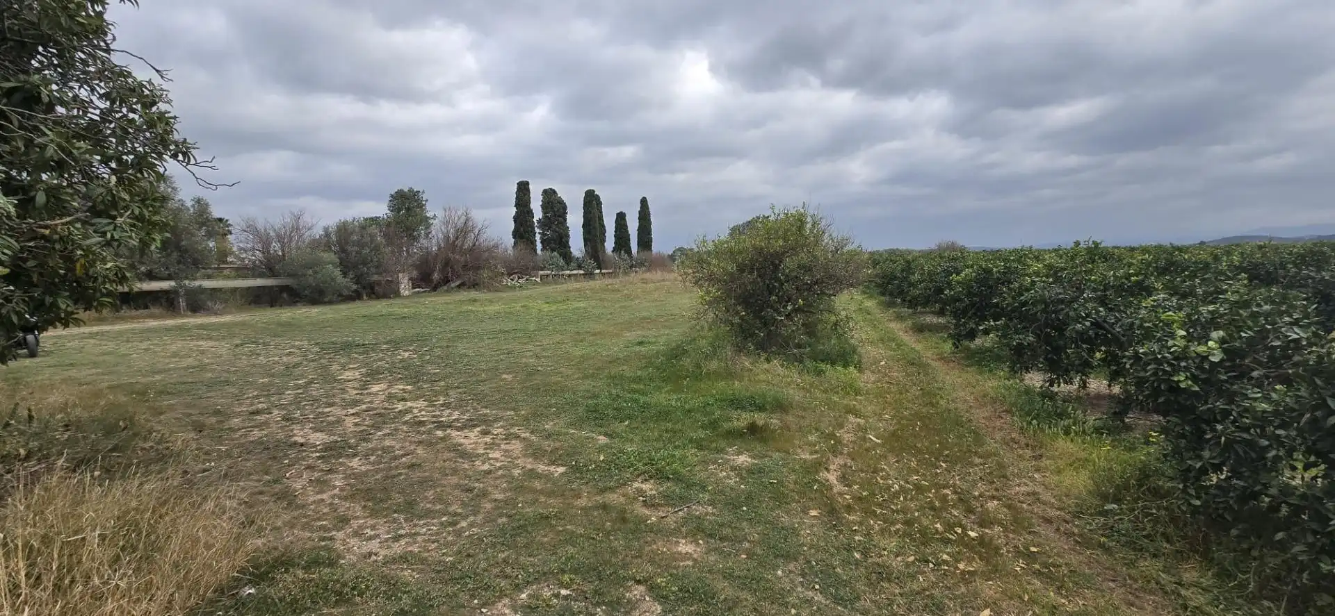 Terrain rustique à vendre à Santa Bárbara, imagen 11