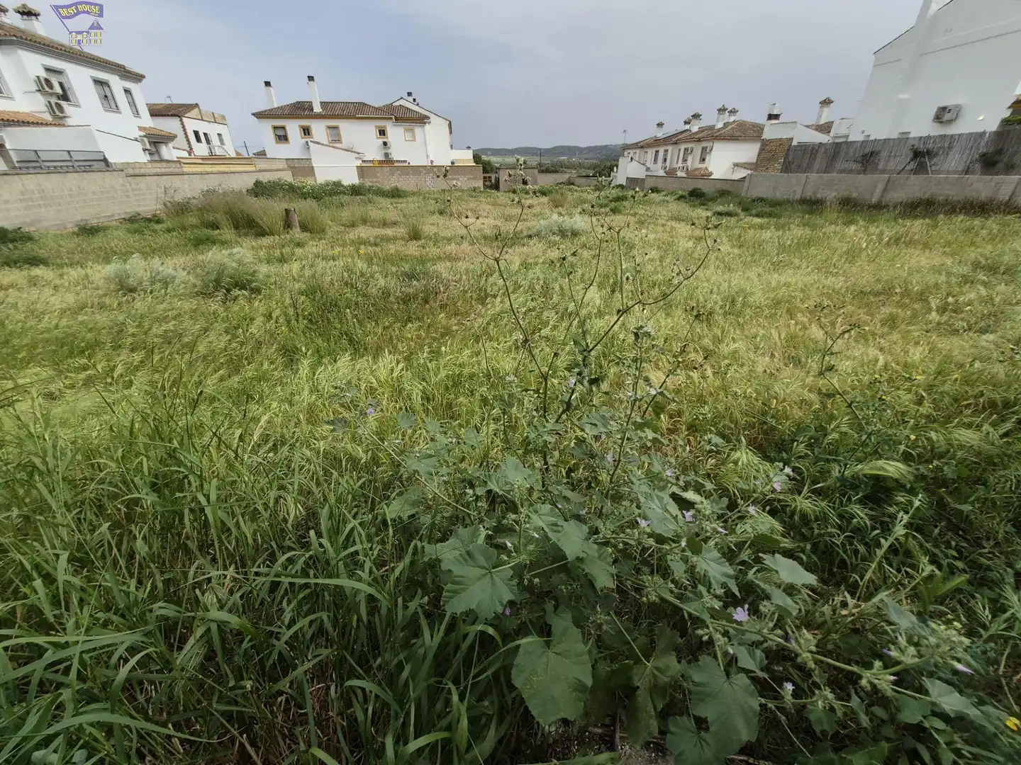 Terrenys i solars en venda a Arcos de la Frontera, imagen 10