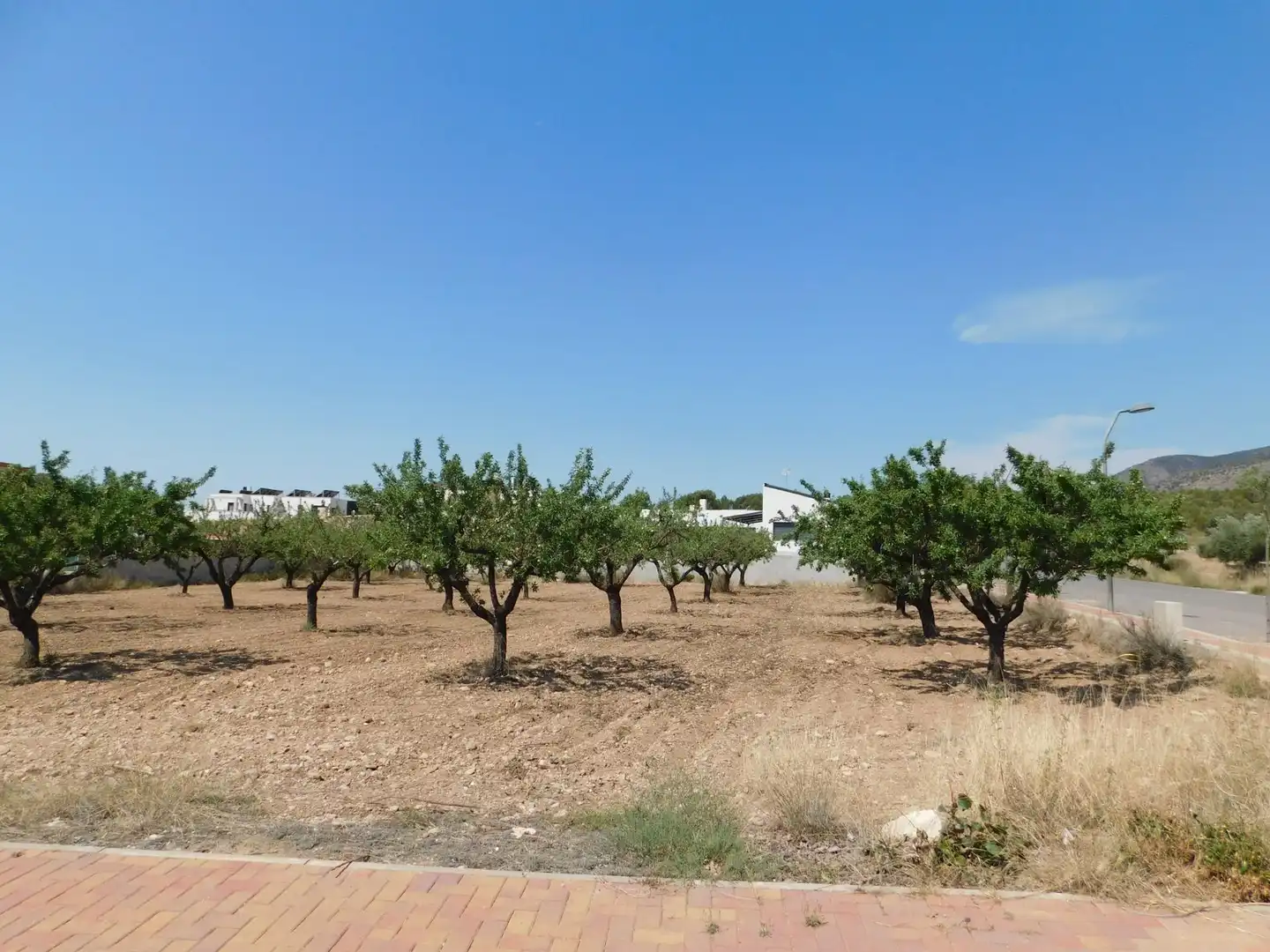 Residential land for sale in Carretera Carretera Llano de Béjar 5, imagen 15