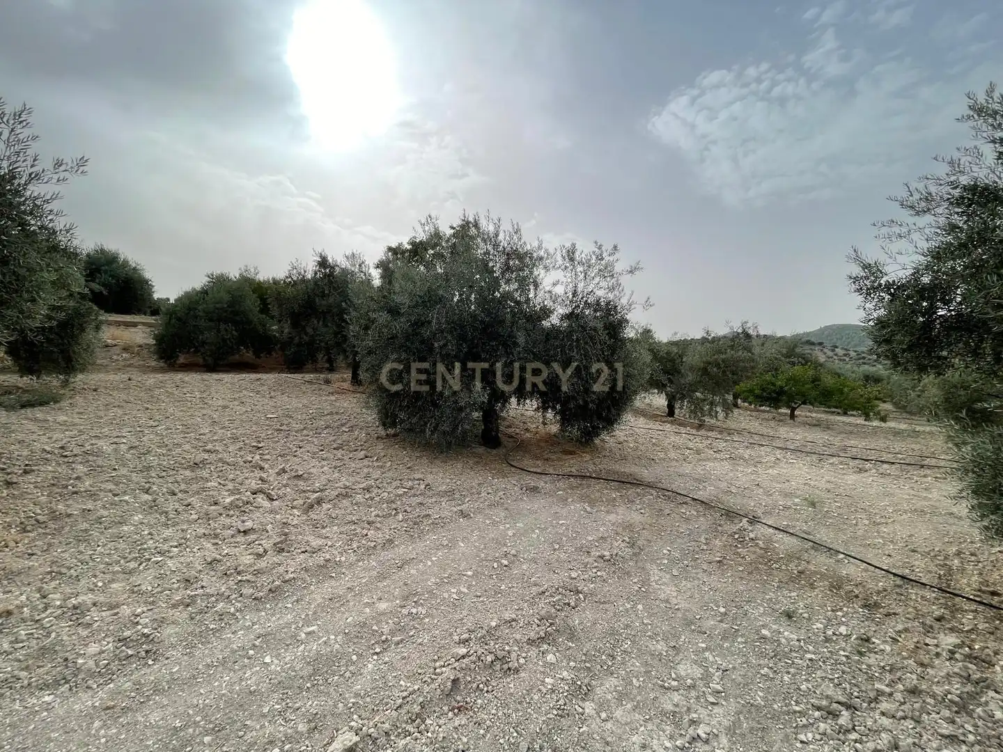 Rustikales Grundstück zum Verkauf in 18260 Íllora, Spain, imagen 11
